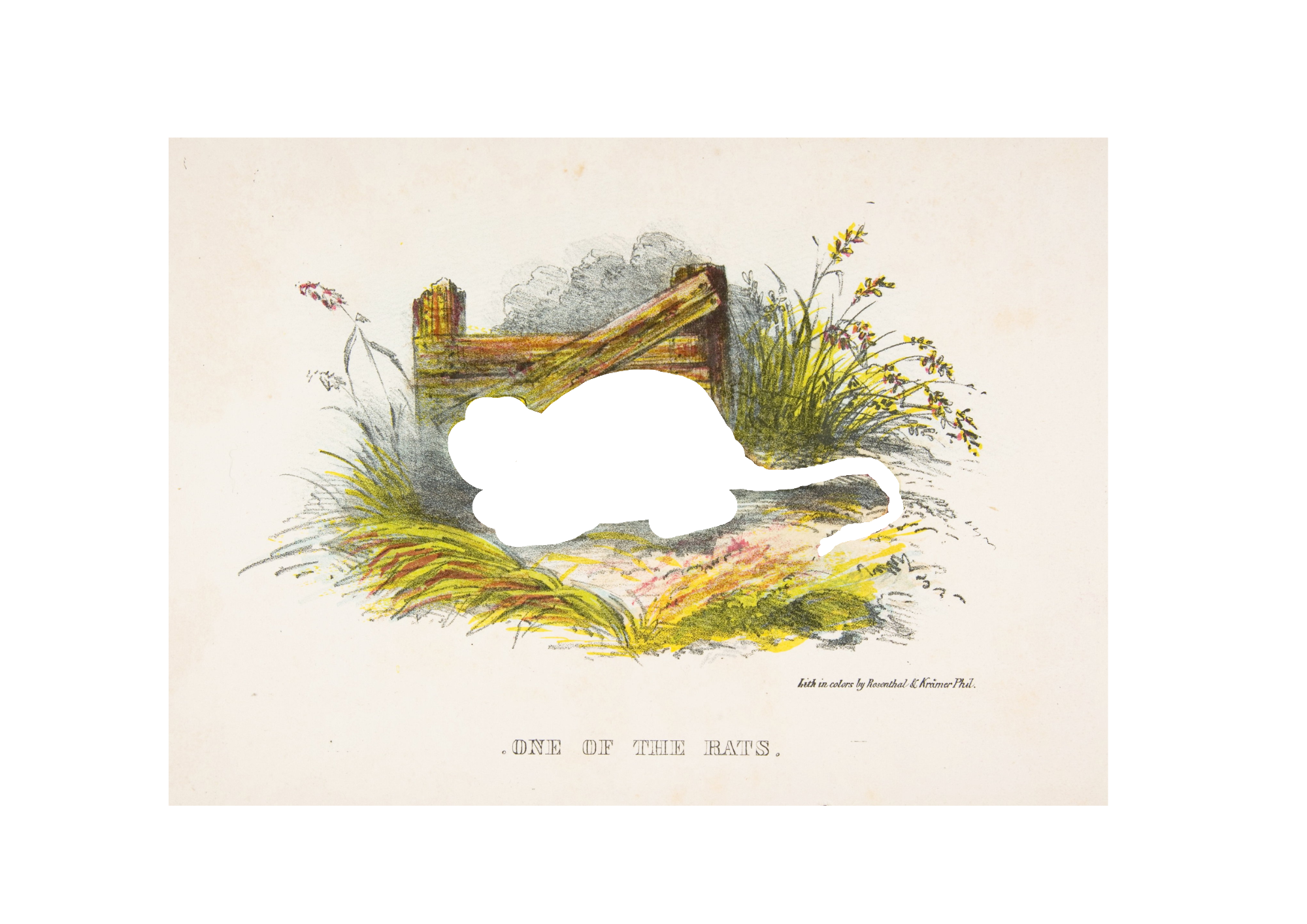 One of the Rats — the full illustration, with the rat's spot left empty